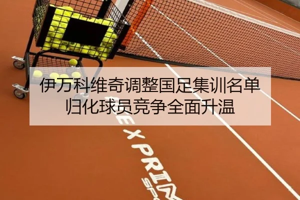 伊万科维奇调整国足集训名单 归化球员竞争全面升温